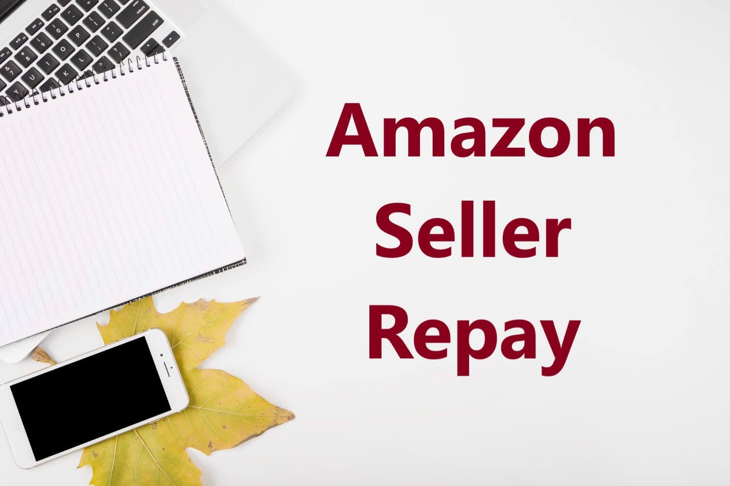 Amazon Seller Repay: All You Need To Know in 2024